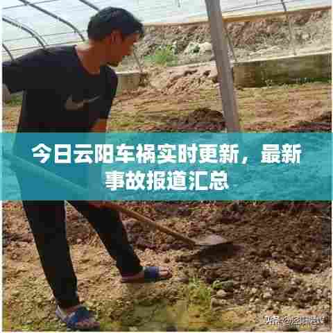 今日云阳车祸实时更新，最新事故报道汇总