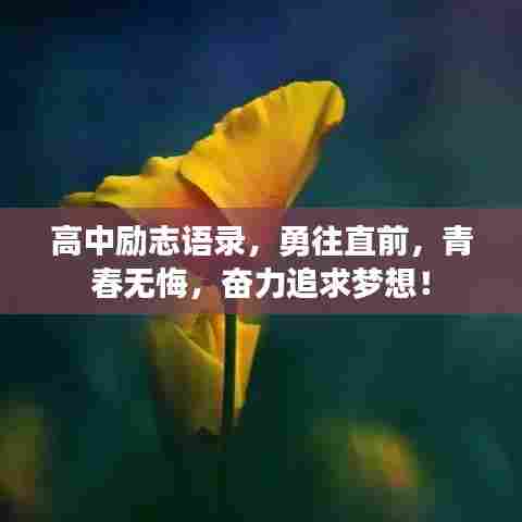 高中励志语录，勇往直前，青春无悔，奋力追求梦想！