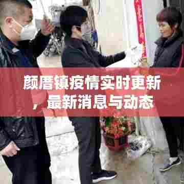 颜厝镇疫情实时更新，最新消息与动态