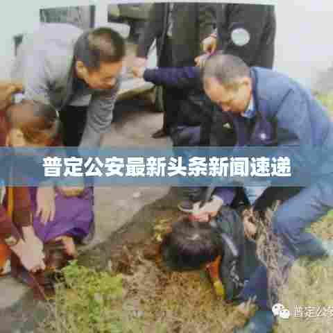 普定公安最新头条新闻速递