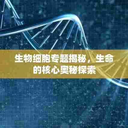 生物细胞专题揭秘，生命的核心奥秘探索