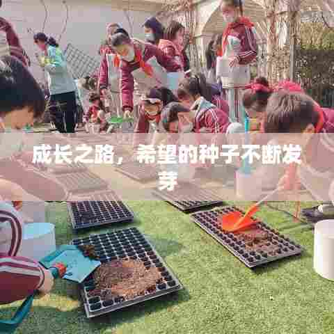 成长之路,希望的种子不断发芽