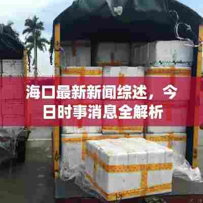 海口最新新闻综述，今日时事消息全解析