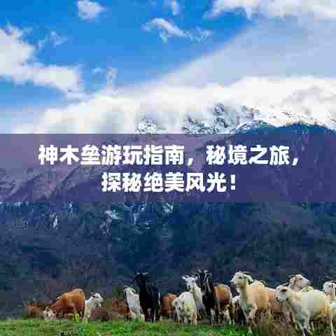 神木垒游玩指南，秘境之旅，探秘绝美风光！