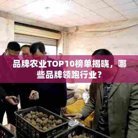 品牌农业TOP10榜单揭晓,哪些品牌领跑行业?