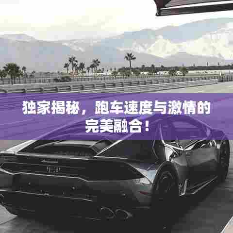 独家揭秘，跑车速度与激情的完美融合！