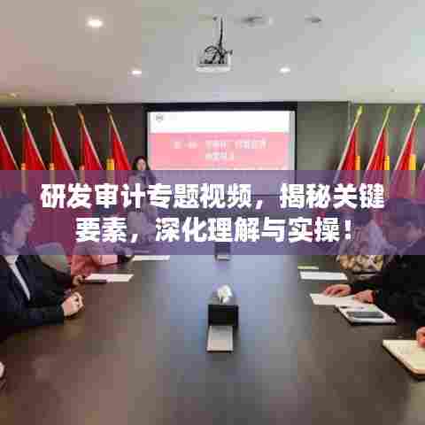 研发审计专题视频，揭秘关键要素，深化理解与实操！