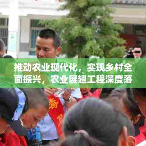推动农业现代化，实现乡村全面振兴，农业展翅工程深度落实