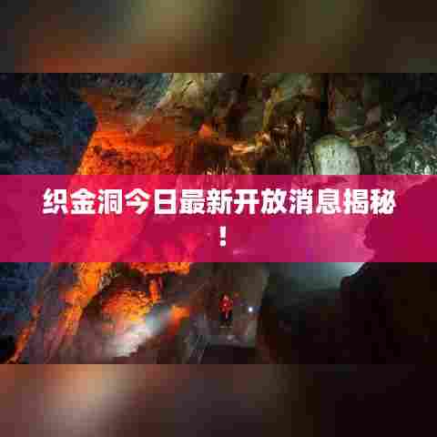织金洞今日最新开放消息揭秘！