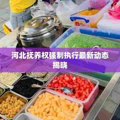 河北抚养权强制执行最新动态揭晓