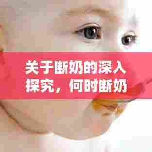 关于断奶的深入探究,何时断奶最佳?喂养新选择探讨!