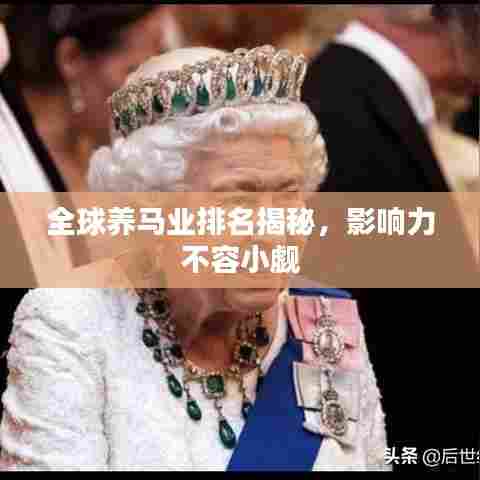 全球养马业排名揭秘，影响力不容小觑