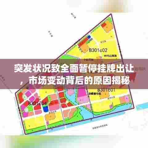 突发状况致全面暂停挂牌出让，市场变动背后的原因揭秘