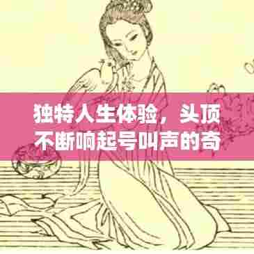 独特人生体验，头顶不断响起号叫声的奇异之旅