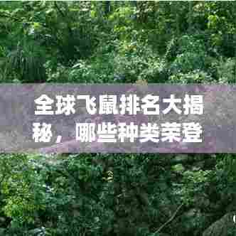 全球飞鼠排名大揭秘，哪些种类荣登最大宝座？