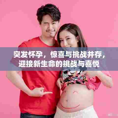 突发怀孕,惊喜与挑战并存,迎接新生命的挑战与喜悦