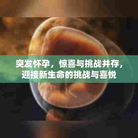 突发怀孕,惊喜与挑战并存,迎接新生命的挑战与喜悦