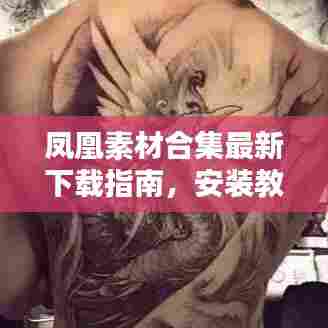 凤凰素材合集最新下载指南，安装教程与实用建议一网打尽