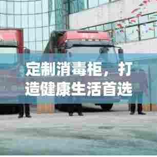 定制消毒柜，打造健康生活首选之选