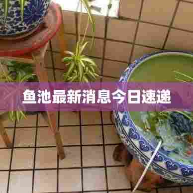 鱼池最新消息今日速递