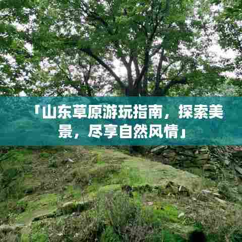 「山东草原游玩指南，探索美景，尽享自然风情」