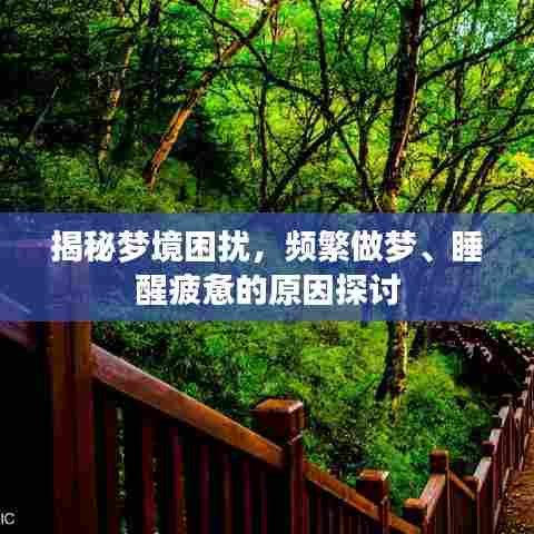 揭秘梦境困扰，频繁做梦、睡醒疲惫的原因探讨