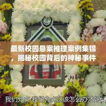 最新校园悬案推理案例集锦，揭秘校园背后的神秘事件！
