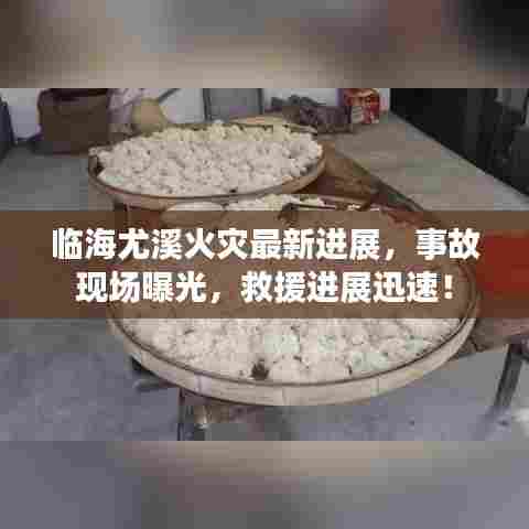 临海尤溪火灾最新进展，事故现场曝光，救援进展迅速！