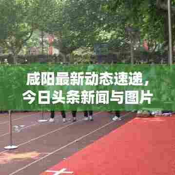 精益求精 第4页