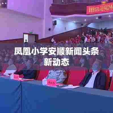 凤凰小学安顺新闻头条新动态