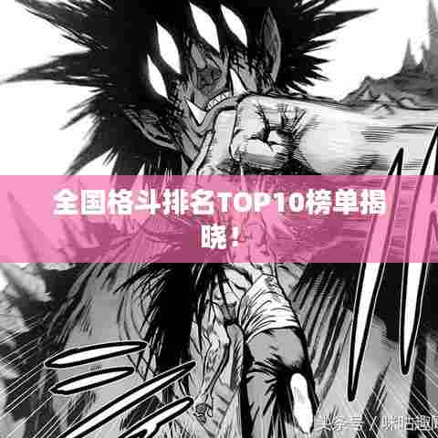 全国格斗排名TOP10榜单揭晓!