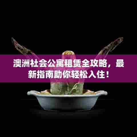 澳洲社会公寓租赁全攻略,最新指南助你轻松入住!