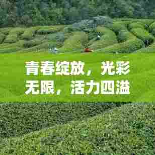 青春绽放,光彩无限,活力四溢