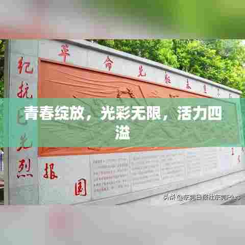 青春绽放,光彩无限,活力四溢