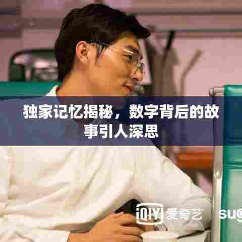 独家记忆揭秘，数字背后的故事引人深思