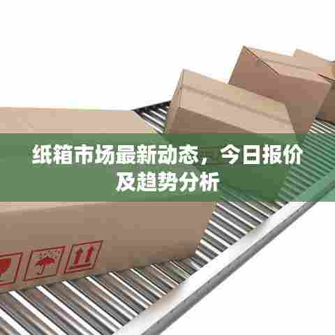 纸箱市场最新动态,今日报价及趋势分析