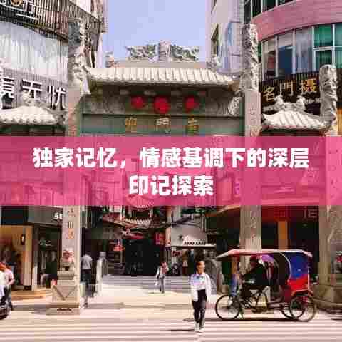 独家记忆,情感基调下的深层印记探索