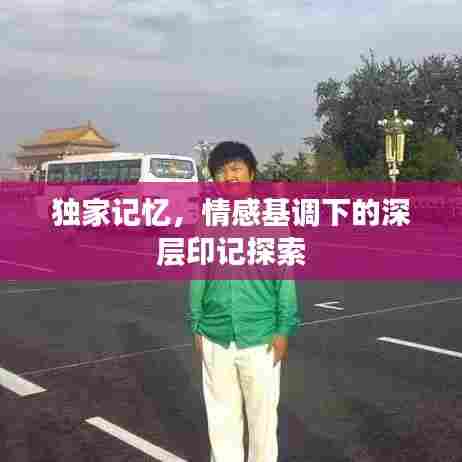 独家记忆,情感基调下的深层印记探索