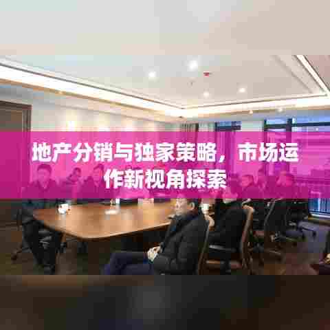 地产分销与独家策略，市场运作新视角探索