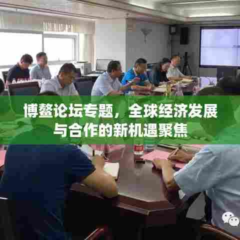 博鳌论坛专题，全球经济发展与合作的新机遇聚焦