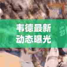 韦德最新动态曝光