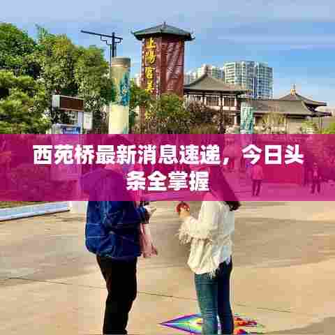 西苑桥最新消息速递，今日头条全掌握