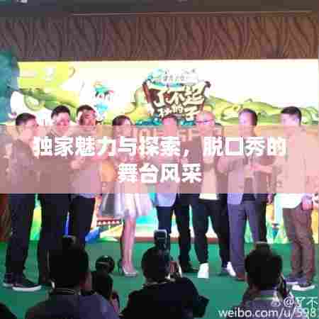 独家魅力与探索，脱口秀的舞台风采