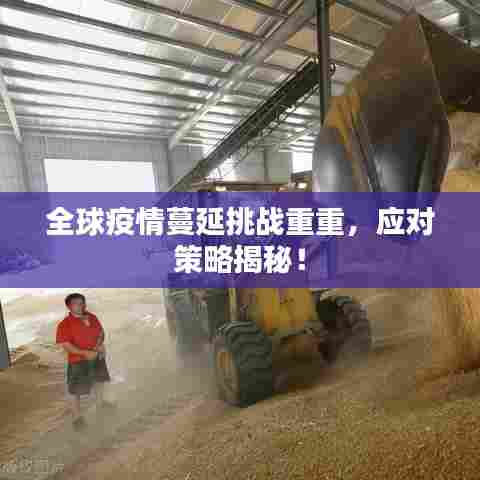 全球疫情蔓延挑战重重,应对策略揭秘!