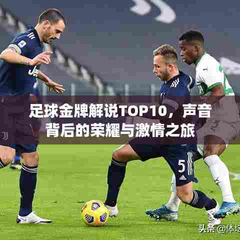 足球金牌解说TOP10,声音背后的荣耀与激情之旅