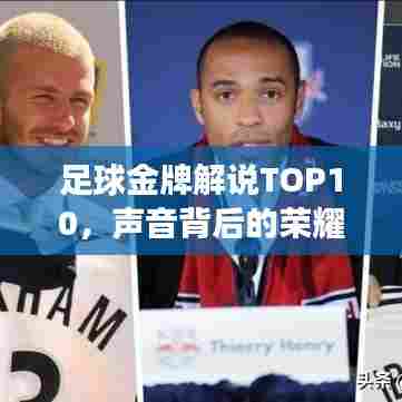 足球金牌解说TOP10,声音背后的荣耀与激情之旅