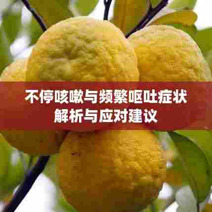 不停咳嗽与频繁呕吐症状解析与应对建议