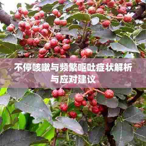 不停咳嗽与频繁呕吐症状解析与应对建议