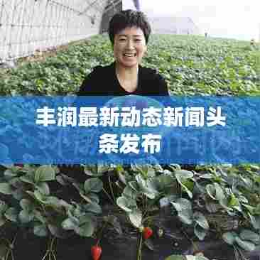 丰润最新动态新闻头条发布