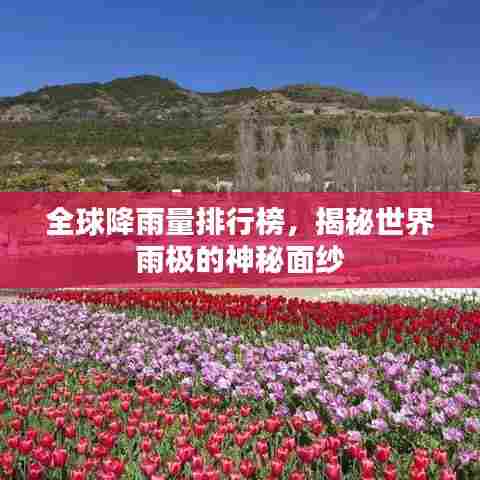 全球降雨量排行榜，揭秘世界雨极的神秘面纱